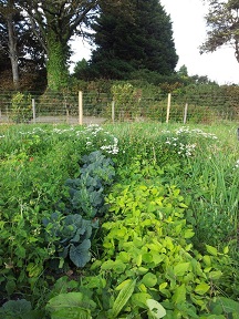 936372_556876277692375_264278416_n