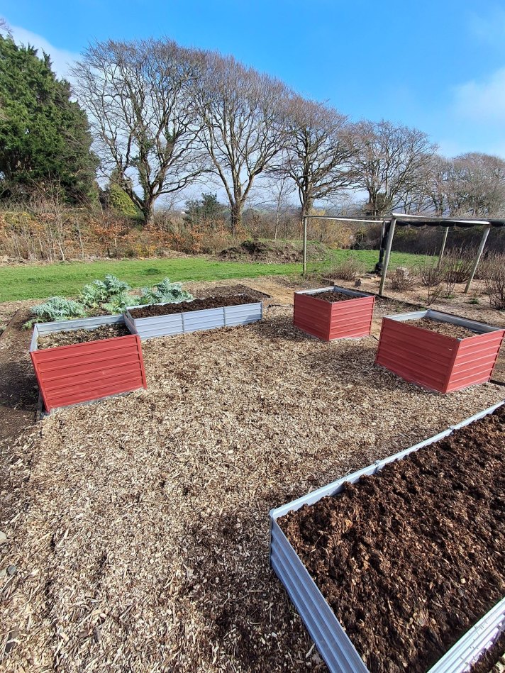 Several raised garden beds—painted red and gray—are arranged neatly on a woodchip-covered surface. Each bed is filled with dark soil, ready for planting. In the background, leafless trees line the edge of a grassy area under a bright blue sky. A simple wooden frame structure stands nearby, possibly for supporting climbing plants. The setting appears well-maintained and organized, with a natural, open landscape surrounding the garden.