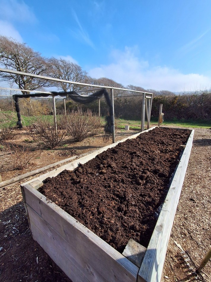 A large wooden raised garden bed filled with freshly turned dark soil sits outdoors on a sunny day. The bed is positioned on a woodchip-covered ground, with a fenced growing area behind it that includes netting draped along the frame. In the background, there are leafless trees, low shrubs, and open countryside beneath a clear blue sky with light wispy clouds. The scene feels calm and ready for spring planting.
